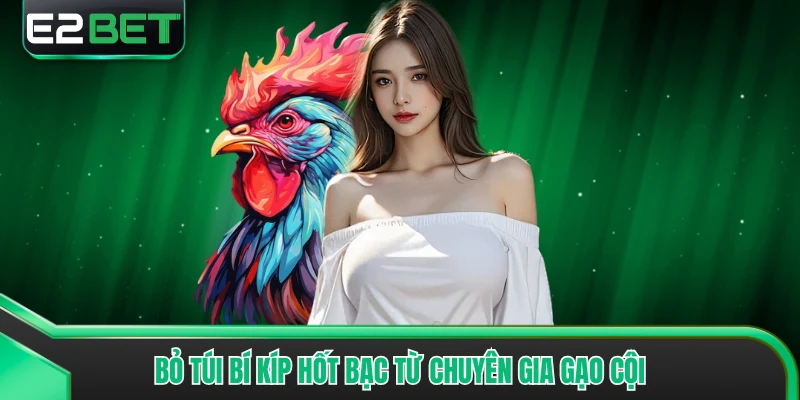 Bỏ túi bí kíp hốt bạc từ chuyên gia gạo cội