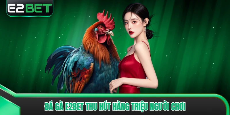 Đá gà E2bet thu hút hàng triệu người chơi