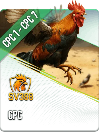 đá gà sv388 tại e2bet