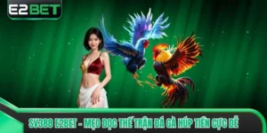 SV388 E2bet - Mẹo Đọc Thế Trận Đá Gà Húp Tiền Cực Dễ